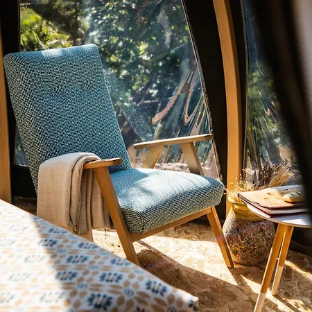 Bulles D'olive Provence Avec Piscine - Jacuzzi En Option Guest house
