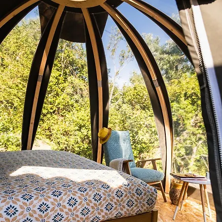 Maison d'hôtes Bulles D'olive Provence Avec Option Jacuzzi