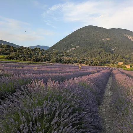 Bulles D'olive Provence Avec Piscine - Jacuzzi En Option Guest house Nyons